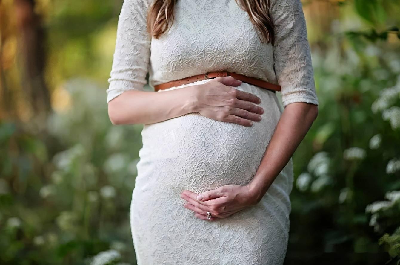 张雪峰提议三胎家庭免学费，你如何看待这一提议？