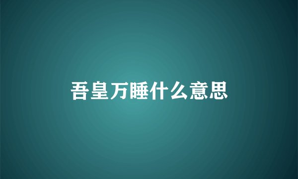 吾皇万睡什么意思