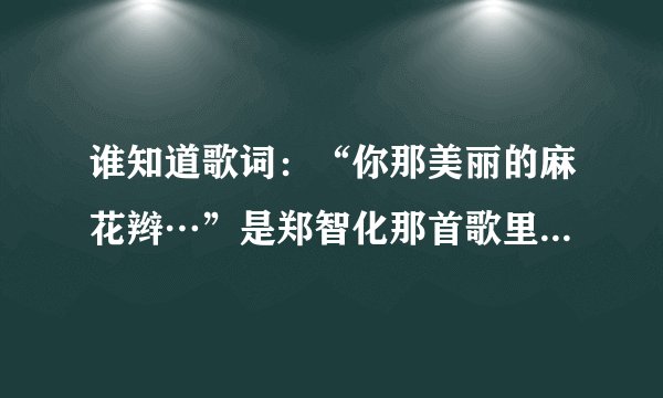 谁知道歌词：“你那美丽的麻花辫…”是郑智化那首歌里面的？歌曲名是什么？