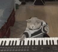 趣味生活工具品牌推荐榜单-好用的趣味生活工具榜单