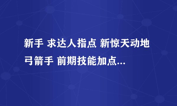 新手 求达人指点 新惊天动地 弓箭手 前期技能加点该怎么加？