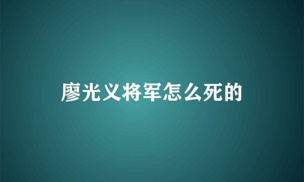 廖光义将军怎么死的