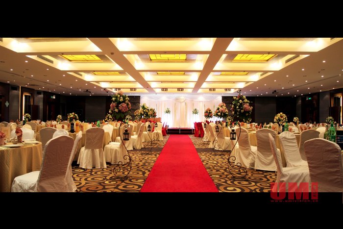 美丽进行曲的主创人