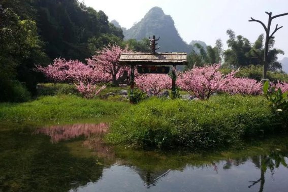 淡泊名利是啥意思