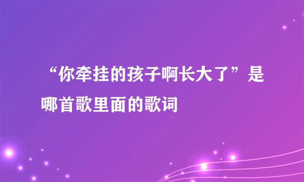 “你牵挂的孩子啊长大了”是哪首歌里面的歌词