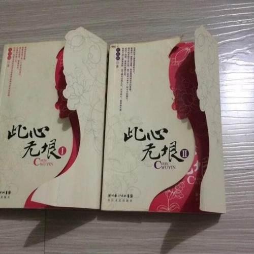 此心无垠的详细简介