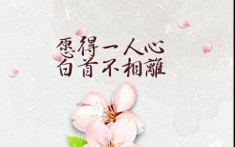 愿得一人心白首不相离。全诗！