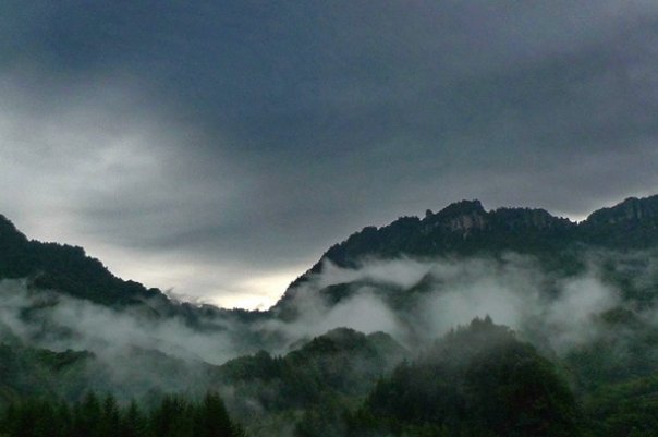 五里云雾正确生肖是什么