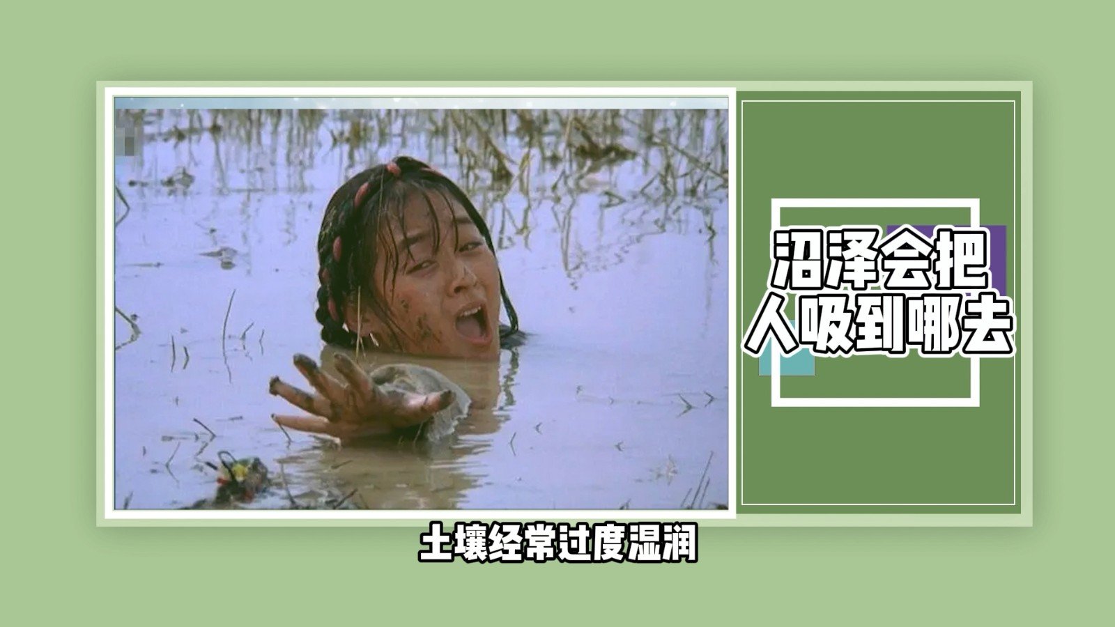 沼泽会把人吸到哪去?