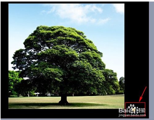 怎样让插入在PPT里的音乐，在翻页时继续播放而不是停止。