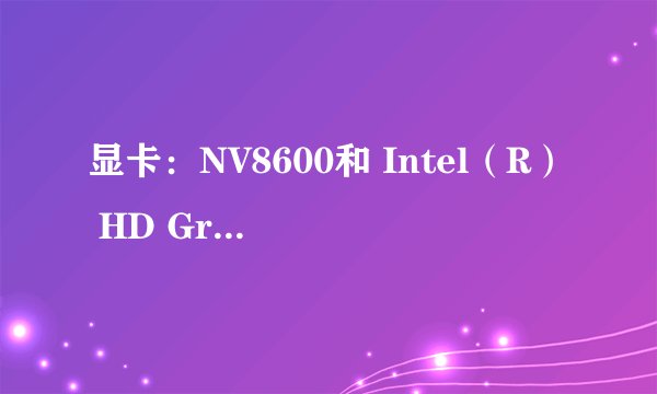 显卡：NV8600和 Intel（R） HD Graphics nvIDIA GeForce 310M 哪个好