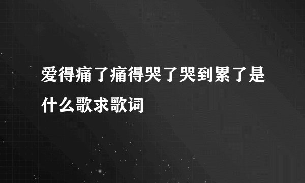 爱得痛了痛得哭了哭到累了是什么歌求歌词