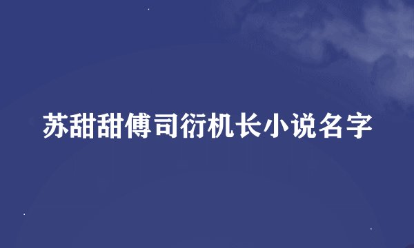 苏甜甜傅司衍机长小说名字