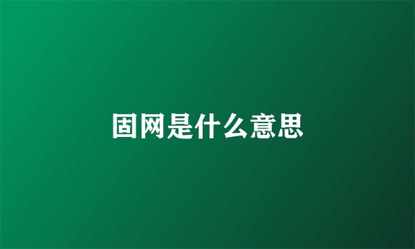 固网是什么意思