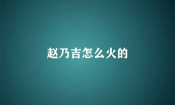 赵乃吉怎么火的