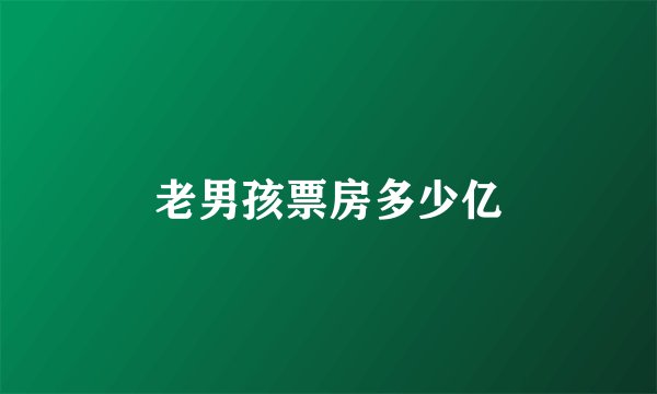 老男孩票房多少亿