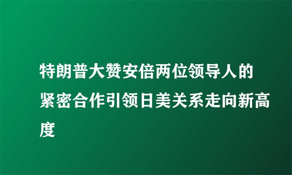 特朗普大赞安倍两位领导人的紧密合作引领日美关系走向新高度
