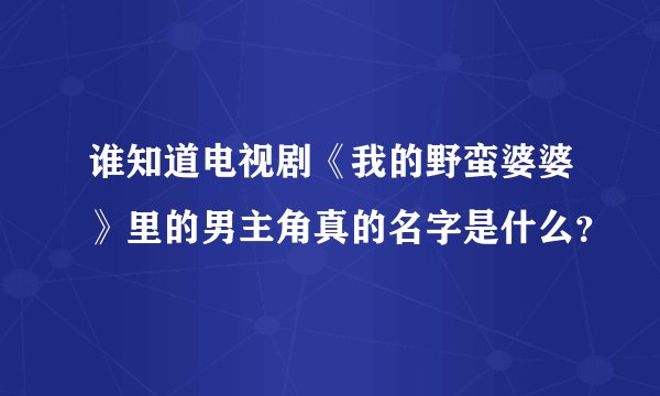 谁知道电视剧《我的野蛮婆婆》里的男主角真的名字是什么？