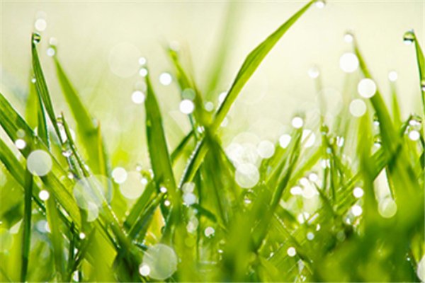 广东大面积雨水登场,9级大风助阵,当地民众该注意哪些安全问题?