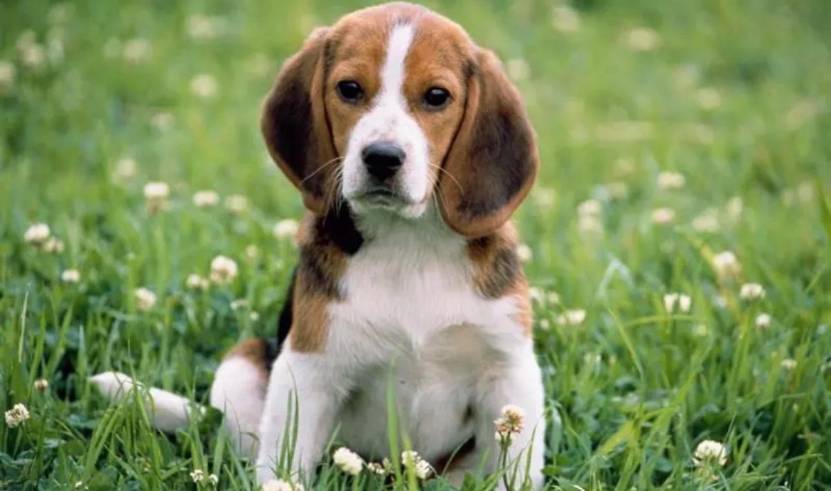 暮夜无知近义词