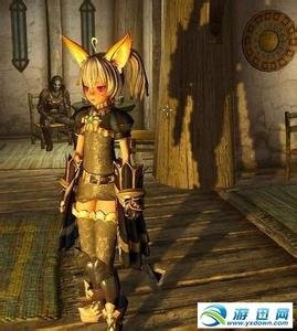 精灵小矮人的游戏攻略