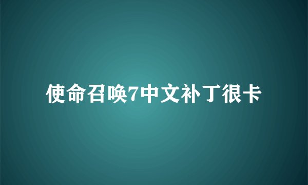 使命召唤7中文补丁很卡