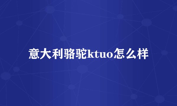 意大利骆驼ktuo怎么样
