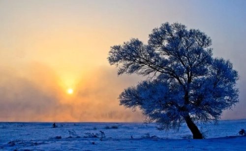 冬日暖阳,岁月静好下一句是什么？