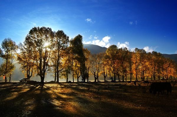 sunshine中文怎么念