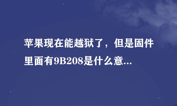苹果现在能越狱了，但是固件里面有9B208是什么意思，现在还能恢复到9B206的固件吗？这个GSM的版本有不同吗