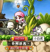 冒险岛冒险骑士团骑坐长什么样？