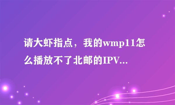 请大虾指点，我的wmp11怎么播放不了北邮的IPV6呀？？