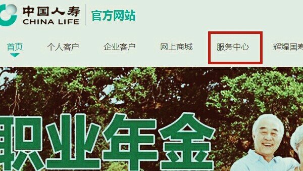 中国人寿保险保单查询入口