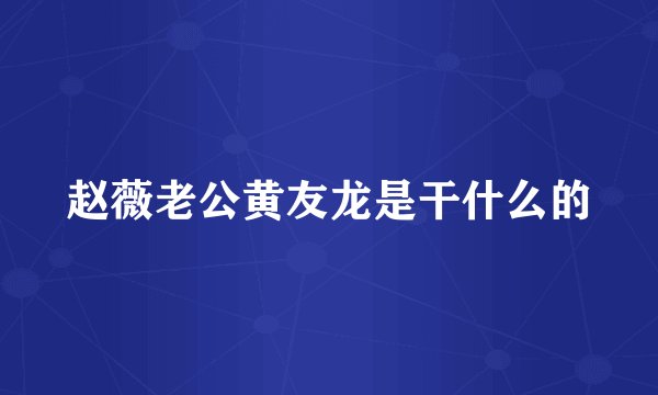 赵薇老公黄友龙是干什么的