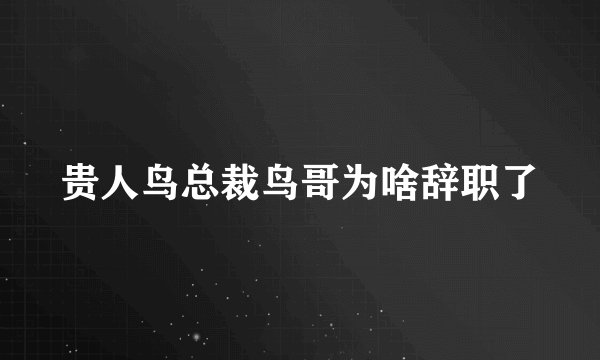 贵人鸟总裁鸟哥为啥辞职了