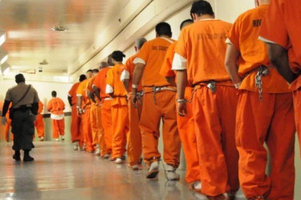 法国旗下啄木鸟高压监狱英文