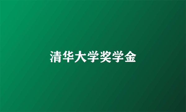 清华大学奖学金