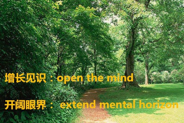 增长见识，开阔眼界，英语翻译，急