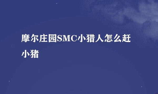 摩尔庄园SMC小猎人怎么赶小猪