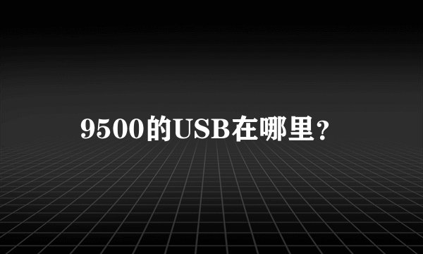 9500的USB在哪里？