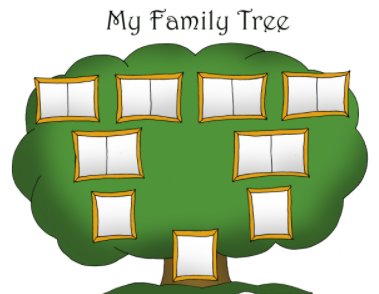 familytree的音标怎么写