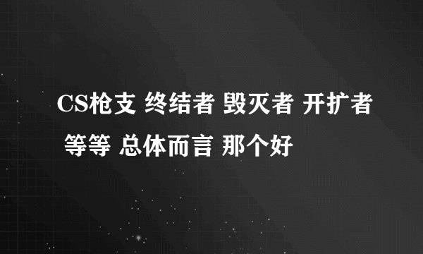CS枪支 终结者 毁灭者 开扩者 等等 总体而言 那个好