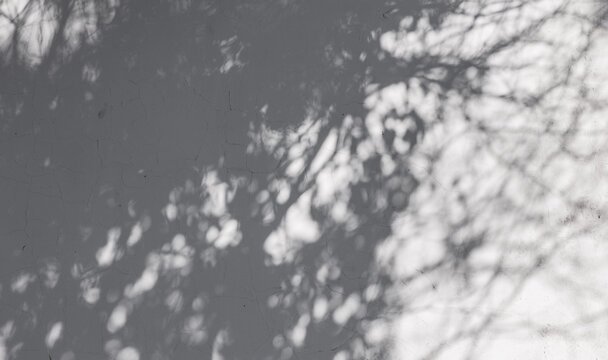 游离的意思是什么