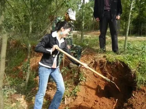 掘地三尺是什么意思