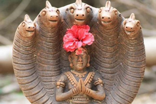 世界上真的有五头蛇吗