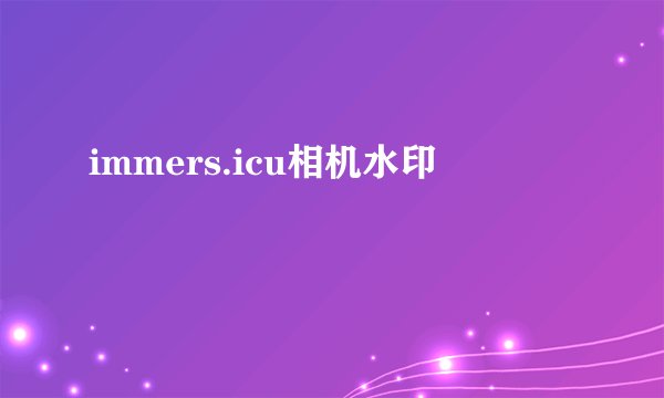 immers.icu相机水印