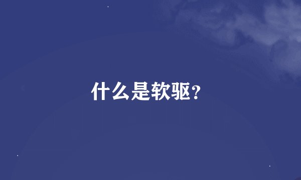 什么是软驱？