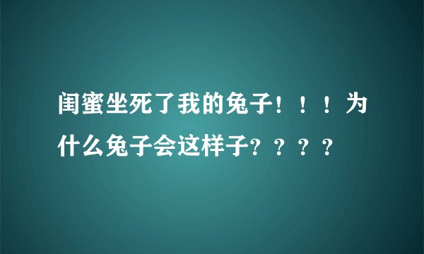 闺蜜坐死了我的兔子！！！为什么兔子会这样子？？？？