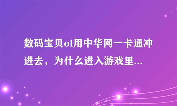 数码宝贝ol用中华网一卡通冲进去，为什么进入游戏里面，没有