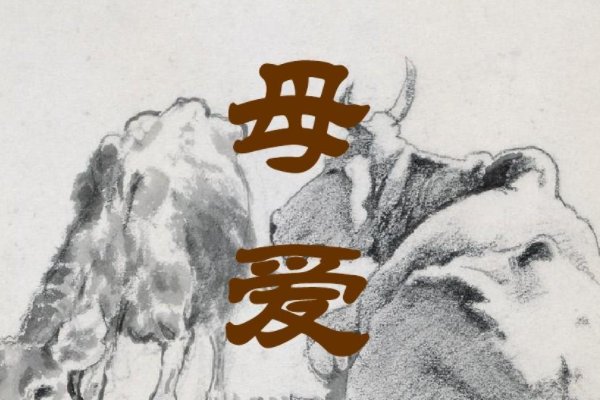 母爱短句八个字